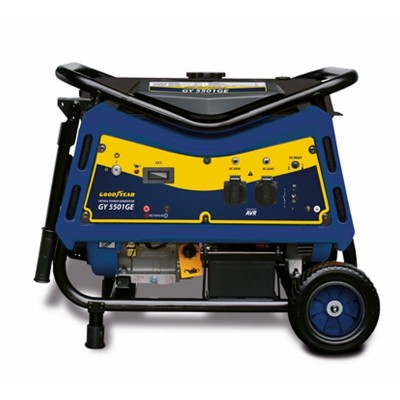 Generador Eléctrico Profesional 4T 220V 5500W