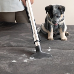 Aspiradora para Seco 1000W 1.5L Karcher VCL3 Cyclonic