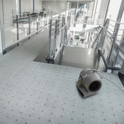 Sopladora Secadora 520W 3 Vel Karcher AB 30 Classic