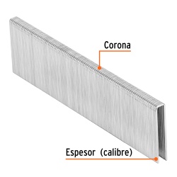 Grapas 1/4" x 1 1/4" 5000 Unidades Truper 18276