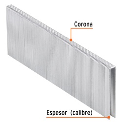 Grapas 1/4" x 1 5/8" 5000 Unidades Truper 18279