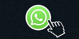 Botom Whatsapp